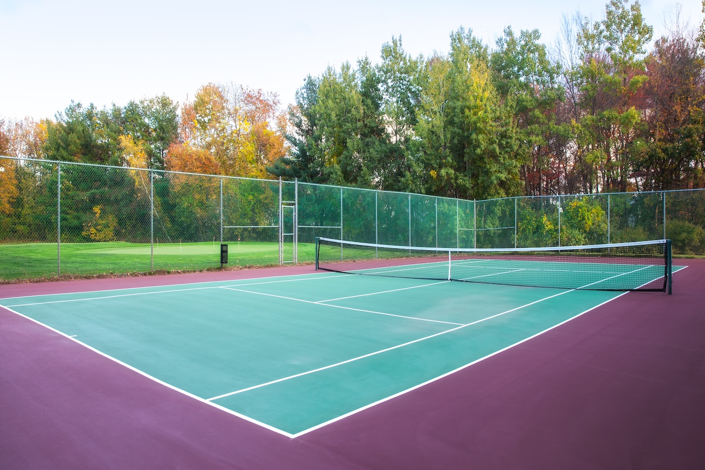 A tennis court with a green playing surface and purple borders is set amidst a lush backdrop of trees in autumn. The court, recently refreshed through pressure washing, is surrounded by a tall chain-link fence, and the net is positioned in the center.