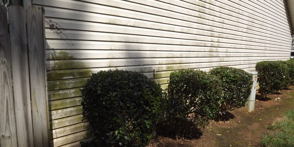 A side view of a light-colored house with horizontal siding showing dirt and mold stains, clearly in need of pressure washing. Bushes are planted along the side, and a wooden fence is partly visible on the left. The ground is bare with patches of grass.